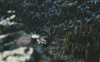 Science explains why skipping a chapter is the most powerful learning trick