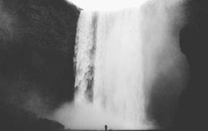 The tree and the future: what climate models tell us about Bangladesh