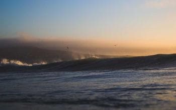 We do not want any more police excesses. Citizens deserve accountability now