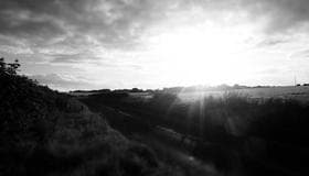 Watch: Tarique Rahman's start is transforming celebrations